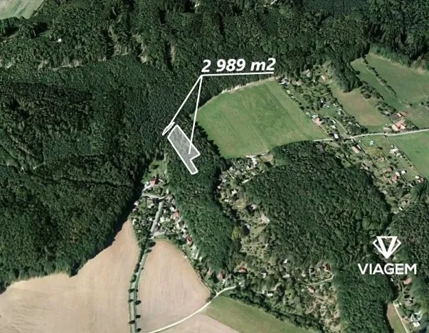 Prodej lesa, Vráž, 2989 m2