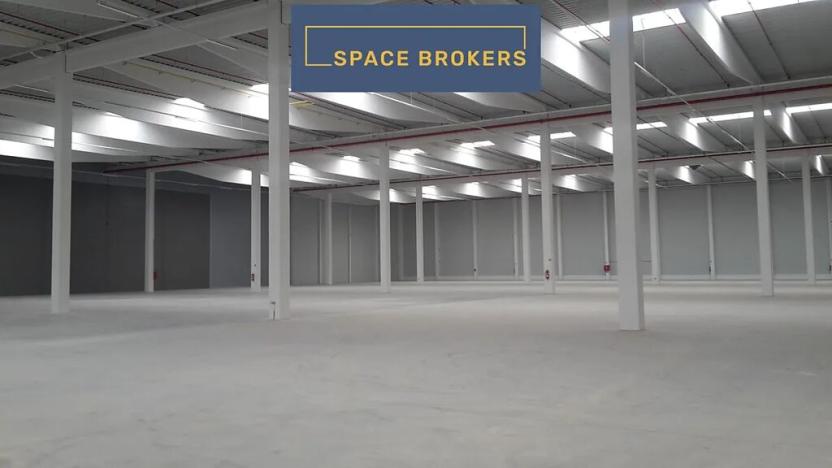 Pronájem skladu, Cheb, 7000 m2