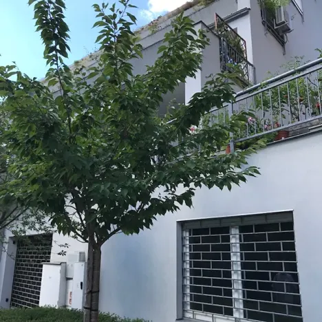 Prodej bytu 4+1, Karlovy Vary, Pražská silnice, 119 m2