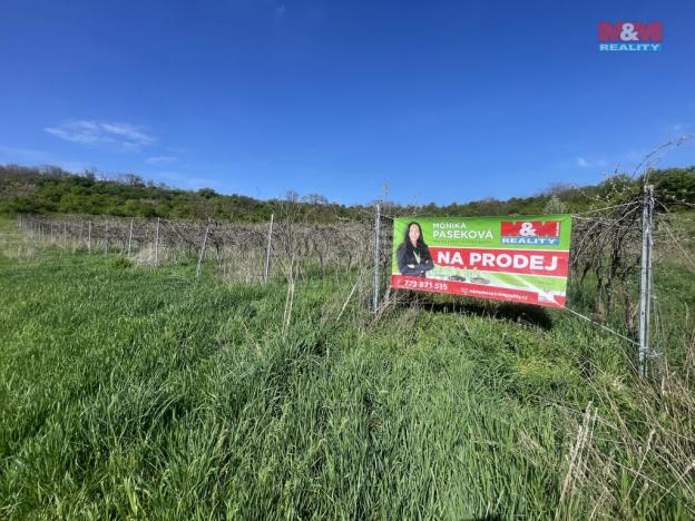 Prodej pole, Sedlec, 9215 m2