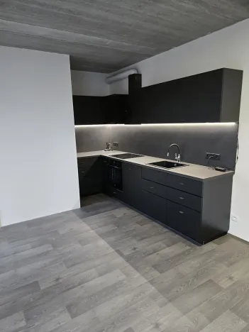Prodej bytu 2+kk, Kladno, Vrchlického, 74 m2