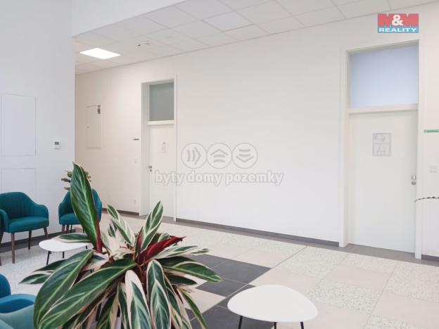 Pronájem obchodního prostoru, Opava - Město, Masarykova třída, 100 m2