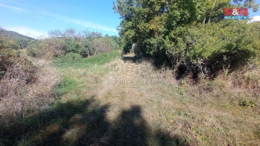 Prodej louky, Jenčice, 13227 m2