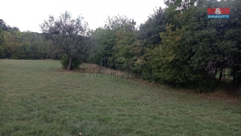 Prodej louky, Jenčice, 12373 m2