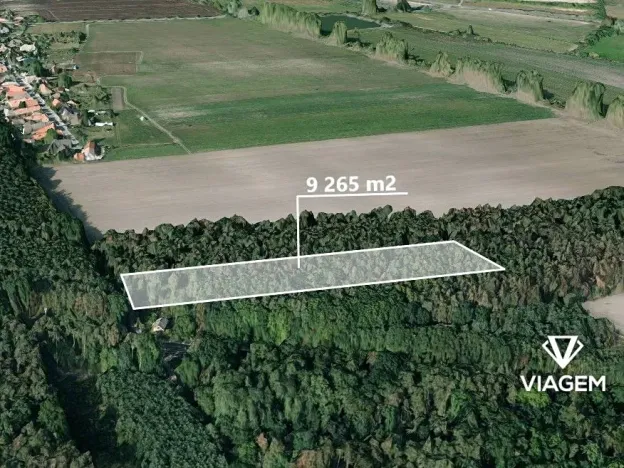 Prodej podílu lesa, Lysá nad Labem, 772 m2