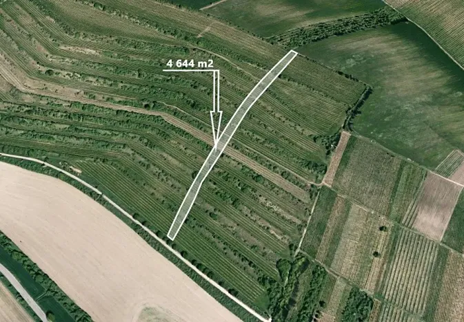 Prodej pole, Morkůvky, 4651 m2
