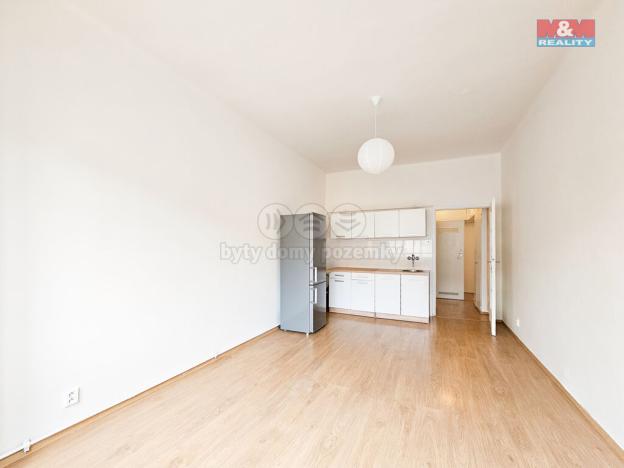 Pronájem bytu 1+kk, Praha - Žižkov, Hartigova, 28 m2