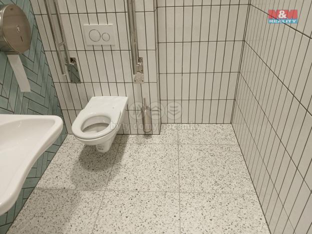 Pronájem obchodního prostoru, Opava - Město, Masarykova třída, 200 m2