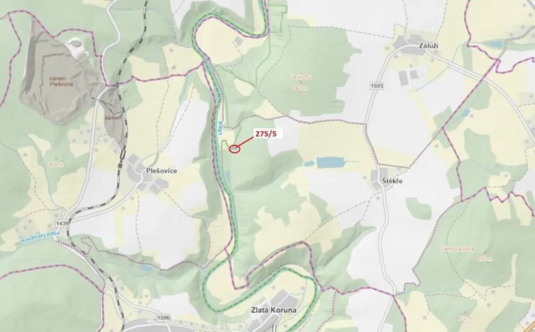 Dražba lesa, Dolní Třebonín, 433 m2