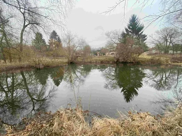 Dražba pozemku, Písečné, 1097 m2