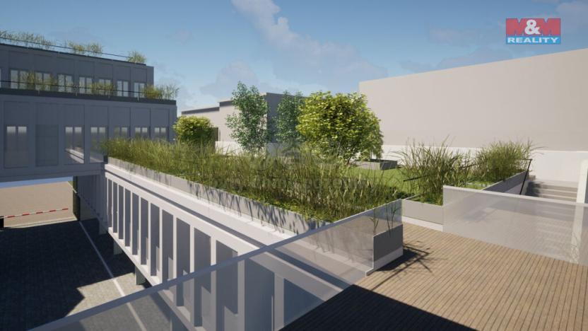 Prodej obchodního prostoru, Opava - Město, Masarykova třída, 100 m2