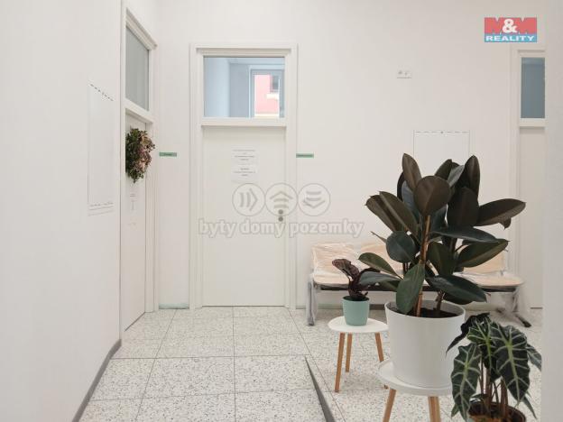 Prodej obchodního prostoru, Opava - Město, Masarykova třída, 20 m2