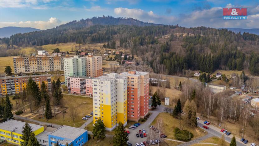 Prodej bytu 1+1, Tanvald, U Školky, 27 m2