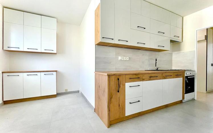 Prodej bytu 2+1, Ústí nad Labem, Mlýnská, 61 m2