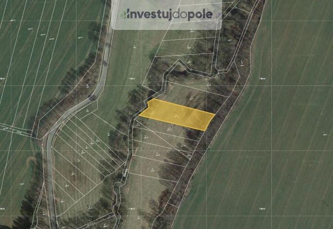Prodej pozemku, Běleč, 2891 m2