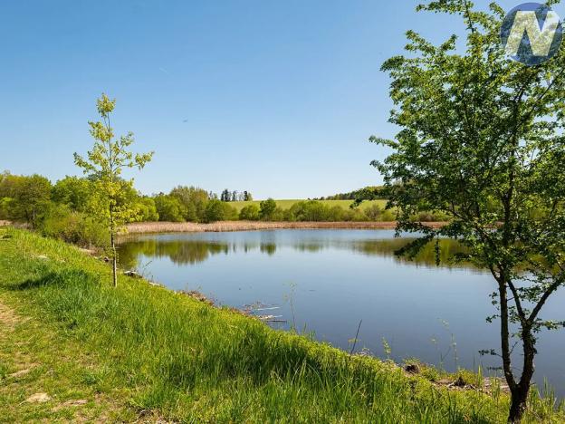 Prodej louky, Olešník, 2512 m2