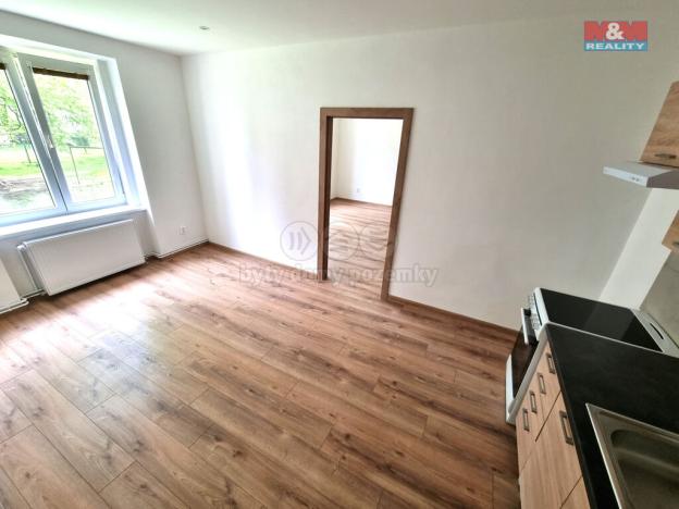 Pronájem bytu 1+1, Ostrava, Jindřichova, 60 m2