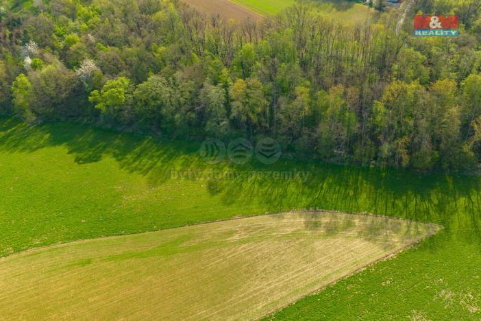 Prodej pole, Bílá Lhota, 4100 m2