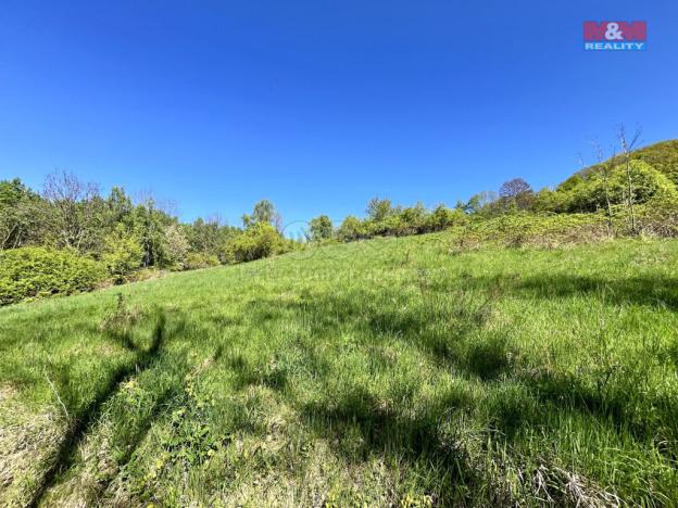 Prodej louky, Malšovice - Hliněná, 21830 m2