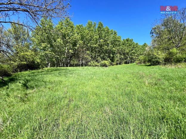 Prodej louky, Malšovice - Hliněná, 21830 m2