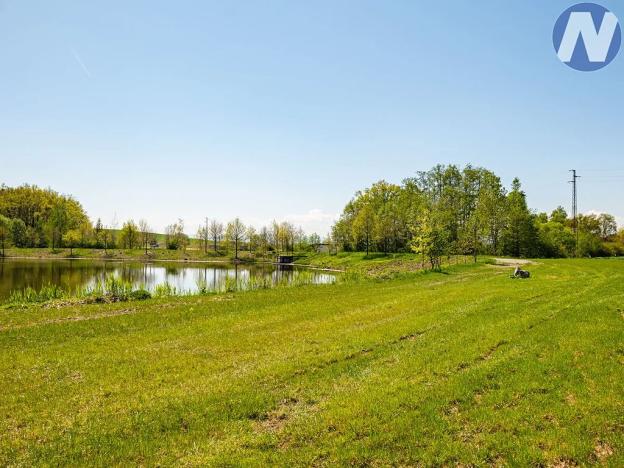 Pronájem louky, Olešník, 1256 m2