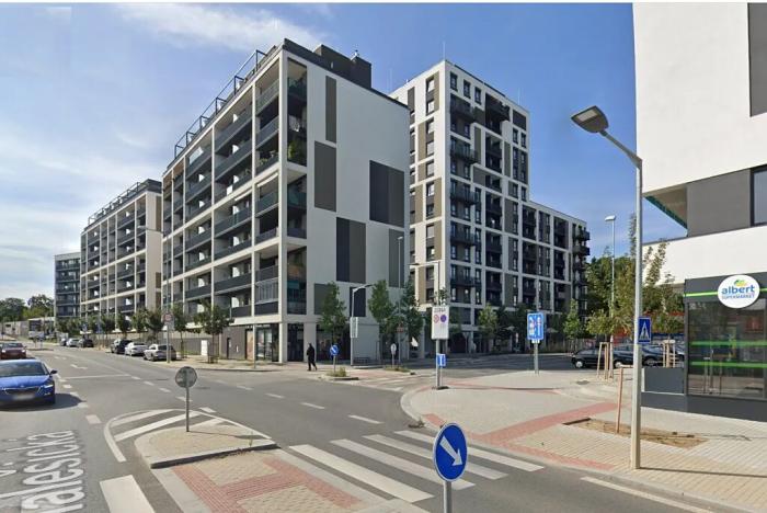 Pronájem bytu 1+kk, Praha - Žižkov, Olgy Havlové, 38 m2