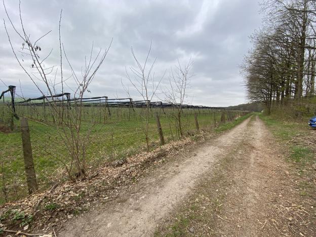 Prodej lesa, Bílé Podolí, 5201 m2