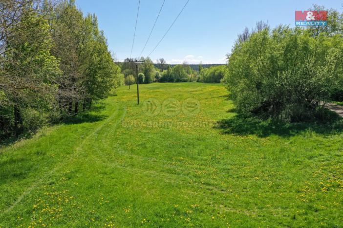 Prodej louky, Horní Bříza, U Kapličky, 4590 m2