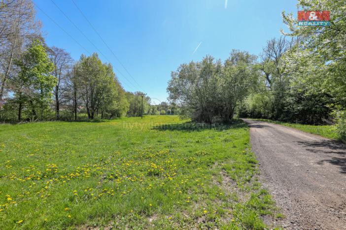 Prodej louky, Horní Bříza, U Kapličky, 4590 m2