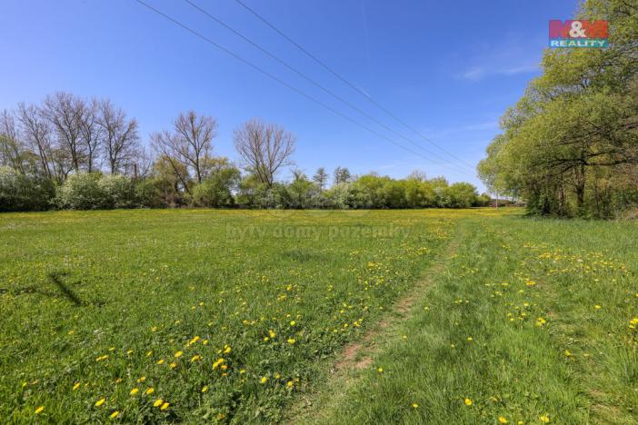 Prodej louky, Horní Bříza, U Kapličky, 4590 m2