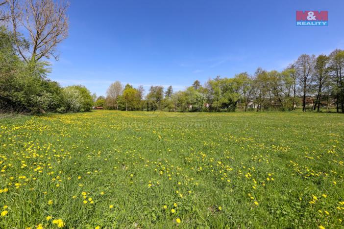 Prodej louky, Horní Bříza, U Kapličky, 4590 m2