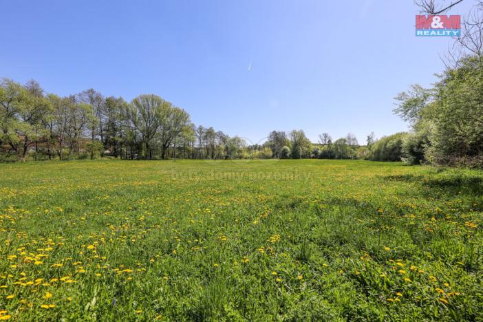 Prodej louky, Horní Bříza, U Kapličky, 4590 m2