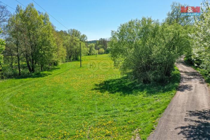 Prodej louky, Horní Bříza, U Kapličky, 4590 m2