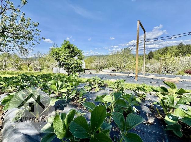 Prodej chaty, Železný Brod, 35 m2