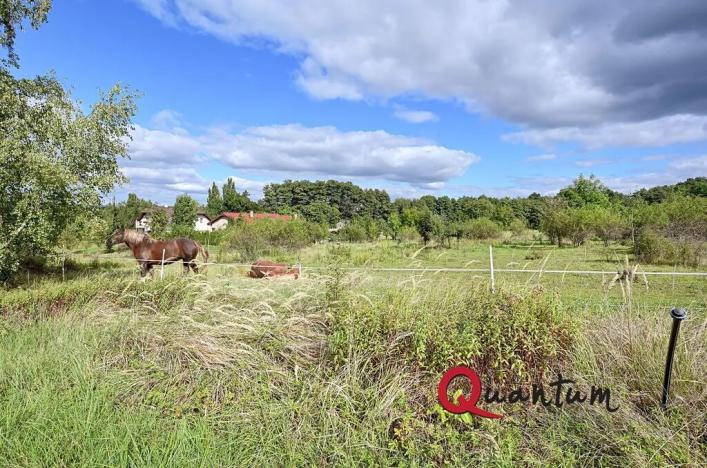 Prodej pozemku pro bydlení, Svinaře, Šípková, 1012 m2