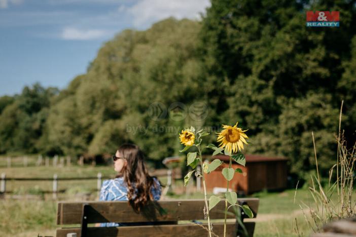 Prodej pozemku pro bydlení, Sušice, 4292 m2