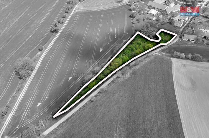 Prodej pozemku pro bydlení, Vísky, 2605 m2
