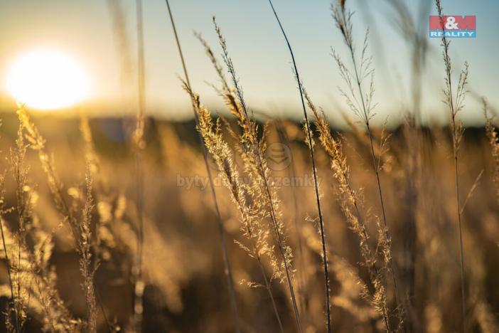 Prodej pozemku pro bydlení, Nová Ves, 636 m2