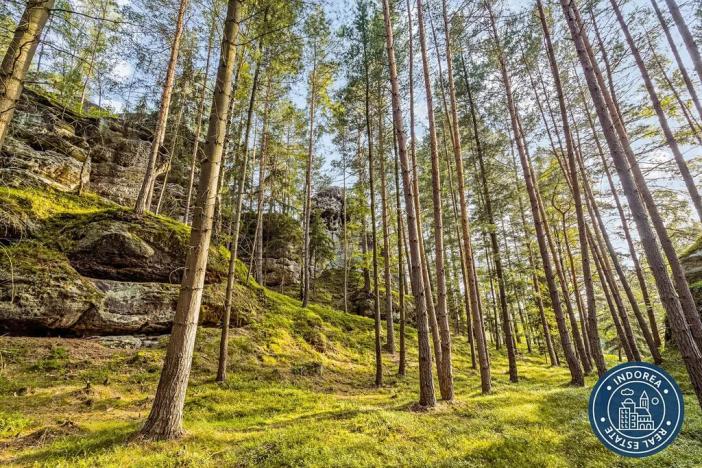 Prodej pozemku pro bydlení, Srbská Kamenice, 170714 m2