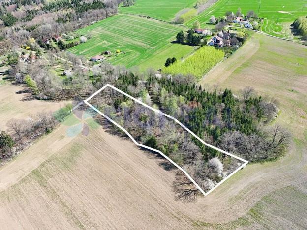 Prodej pozemku pro bydlení, Libníč, 6449 m2