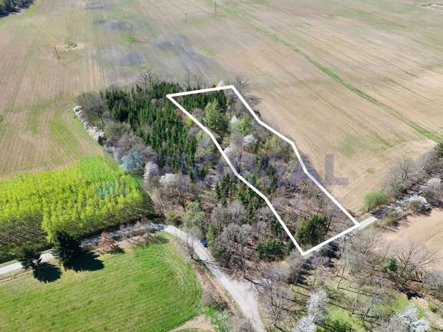 Prodej pozemku pro bydlení, Libníč, 6449 m2