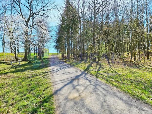 Prodej pozemku pro bydlení, Libníč, 6449 m2