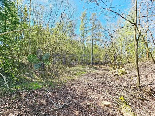 Prodej pozemku pro bydlení, Libníč, 6449 m2