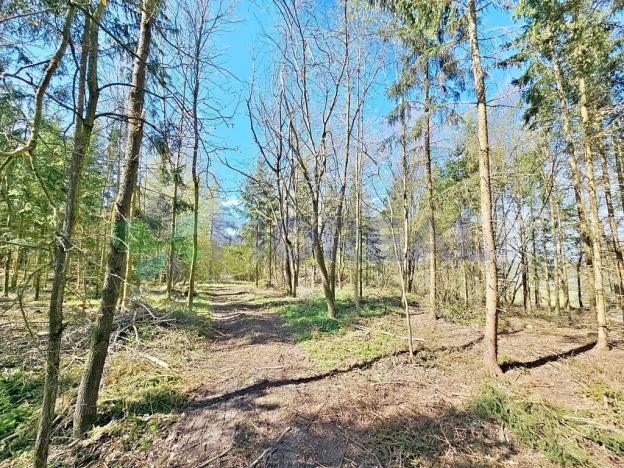 Prodej pozemku pro bydlení, Libníč, 6449 m2