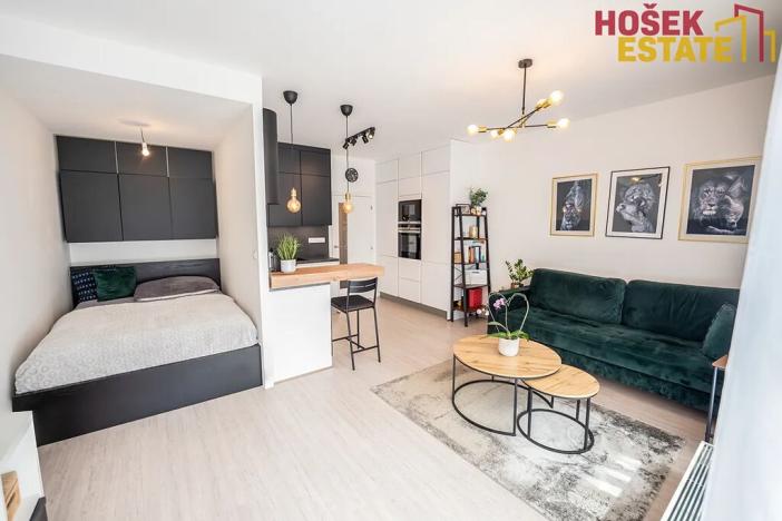 Pronájem bytu 1+kk, Brno, Sportovní, 33 m2