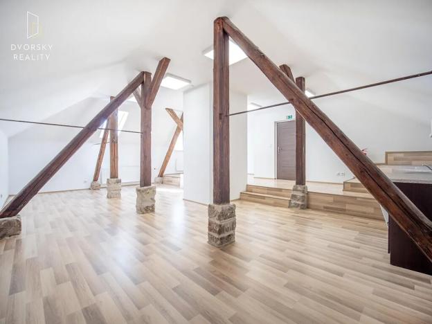 Prodej rodinného domu, Mladá Boleslav, Ptácká, 305 m2