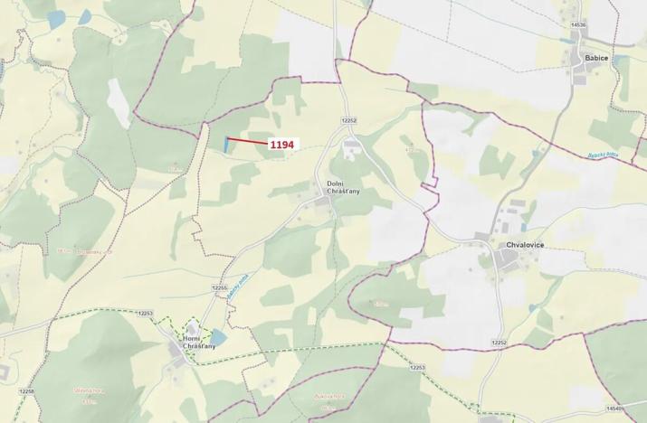 Dražba lesa, Lhenice, 3021 m2