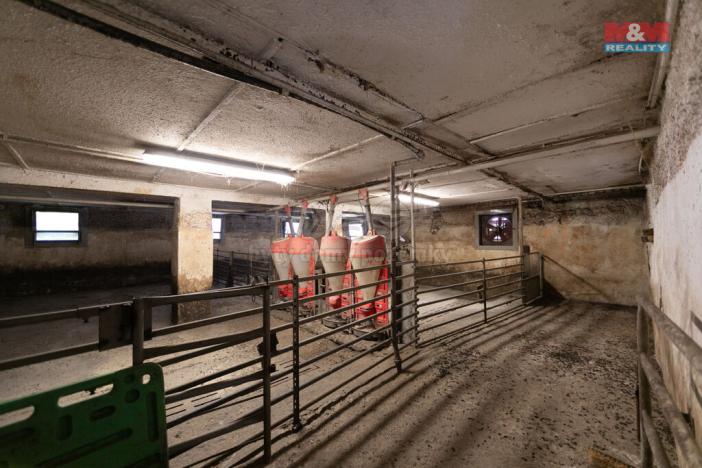 Prodej zemědělského objektu, Mrákov - Starý Klíčov, 1446 m2