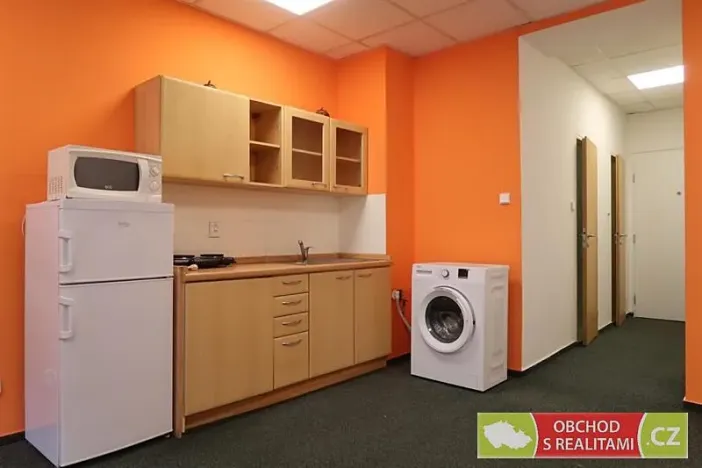 Pronájem bytu 1+kk, Praha - Žižkov, Biskupcova, 31 m2