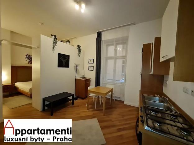 Prodej bytu 1+kk, Praha - Staré Město, Masná, 35 m2